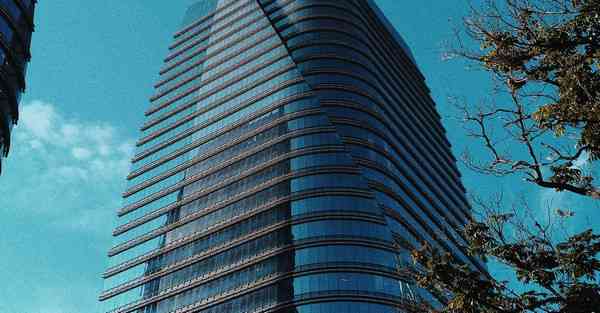 茶叶活动策划_茶叶活动策划方案环境布置