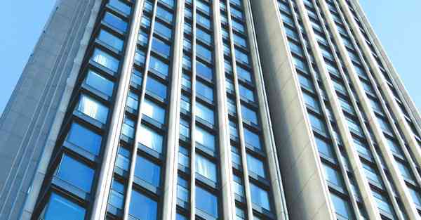 公司赏花活动策划