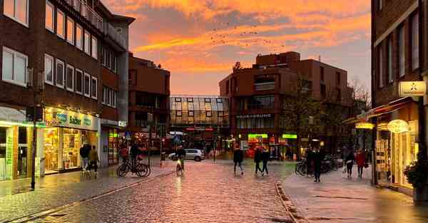 园艺公司活动策划