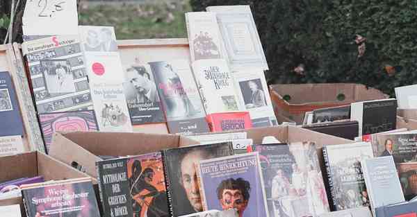 三八公司活动策划