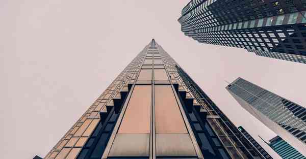 展示活动策划方案