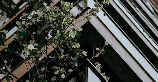 公司活动活动策划公司