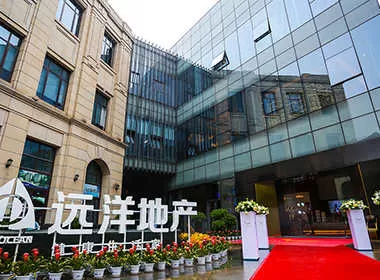 大型项目运营