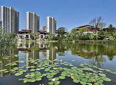 富力津门湖