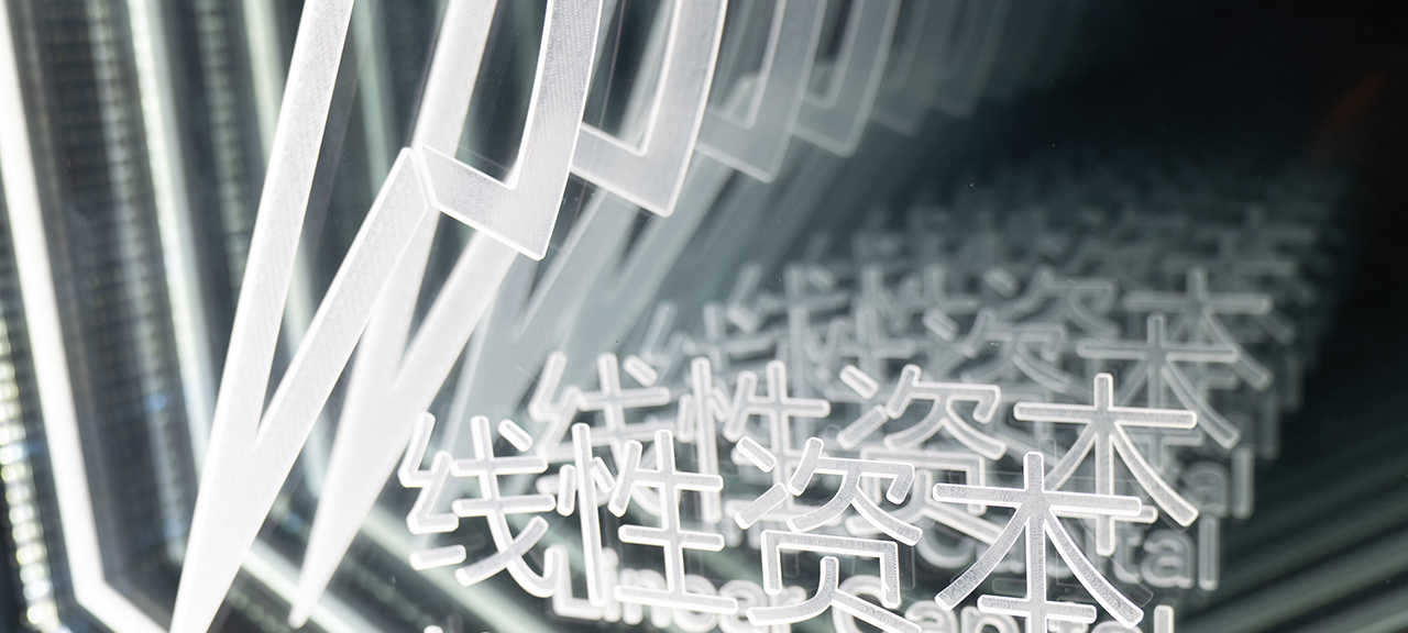 线性资本(图10)