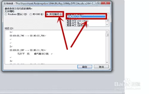 电影字幕转word